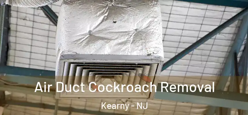  Air Duct Cockroach Removal Kearny - NJ