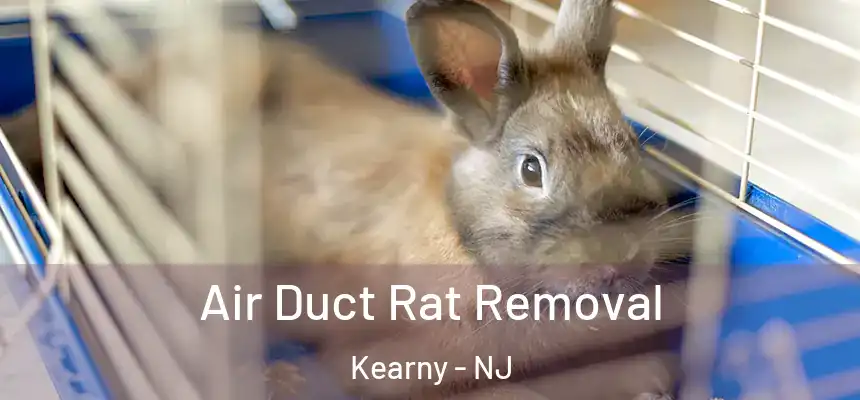  Air Duct Rat Removal Kearny - NJ