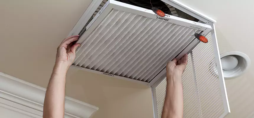 Preventive Cockroach-Proofing for Ducts in Kearny