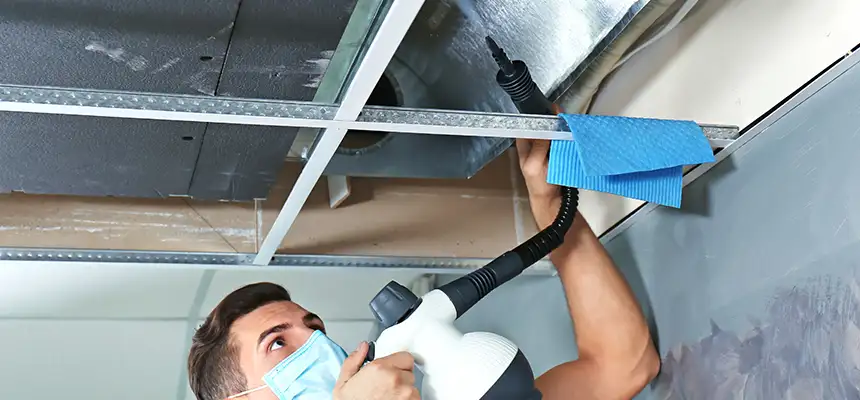 Our Air Duct Rodent Removal Services in Kearny, NJ