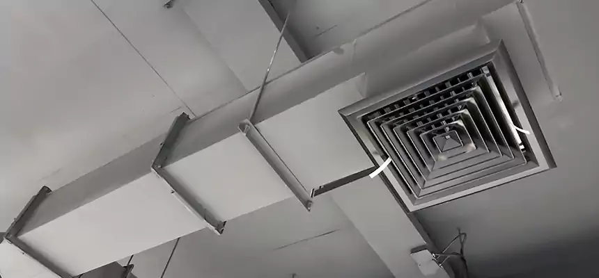 Our Rodent Droppings In Vents Services in Kearny, NJ