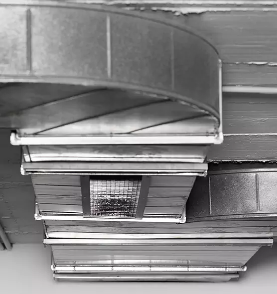 Professional Air Duct Pest Removal in Kearny, NJ