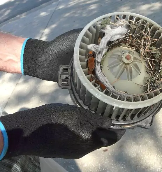 About Air Duct Rat Removal in Kearny, NJ