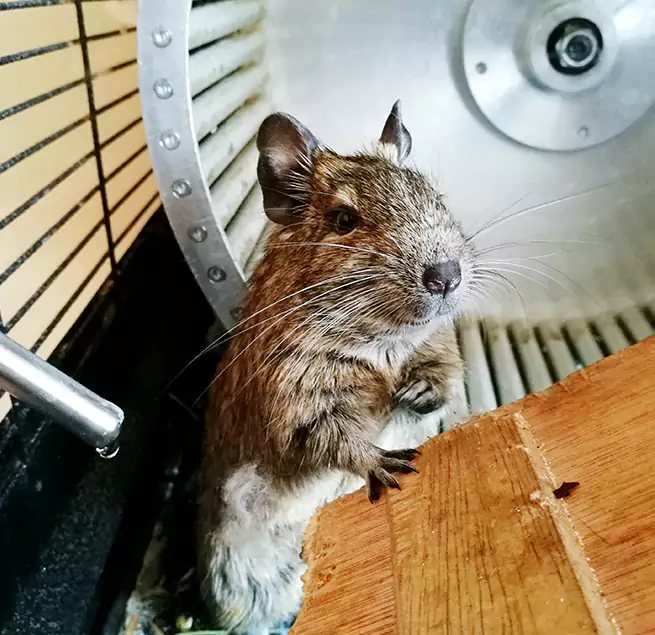 Why Homeowners & Businesses Trust Us Kearny, NJ