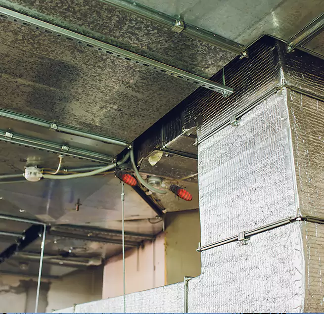 Why Homeowners & Businesses Trust Us Kearny, NJ?