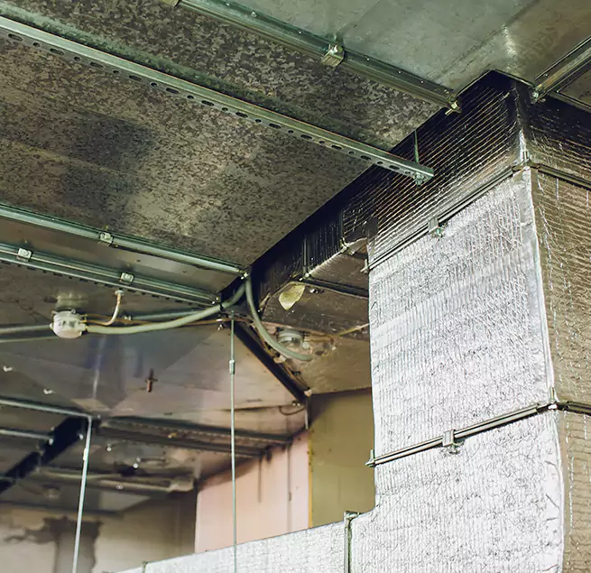 Why Homeowners & Businesses Trust Us in Kearny, NJ?