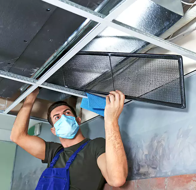 Why Homeowners Businesses Trust Us in Kearny, NJ